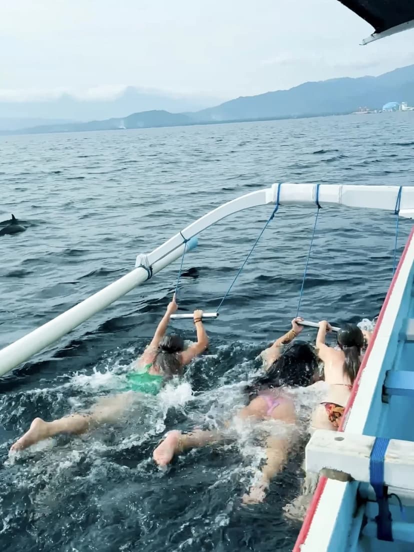 Experiencing with dolphin